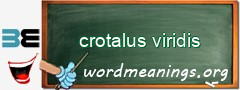 WordMeaning blackboard for crotalus viridis